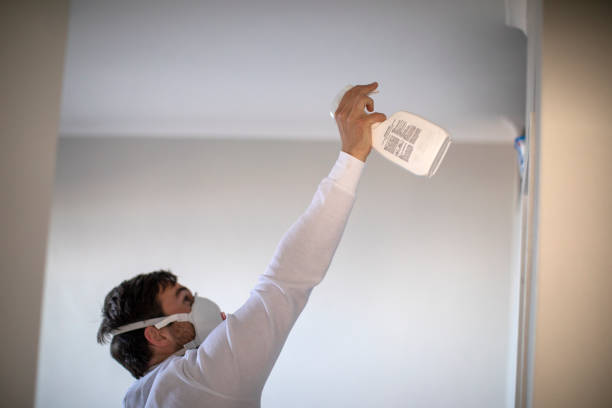 Best Residential Mold Remediation in Bethany, WV